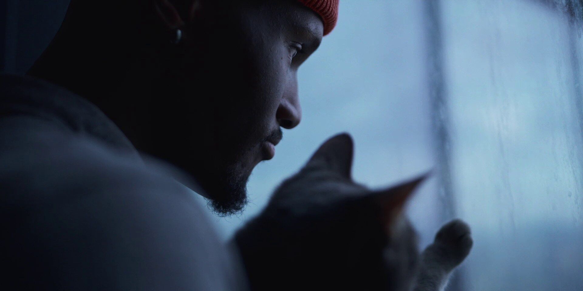 Nigel Hayes-Davis at home with his cat, Chasing Glory