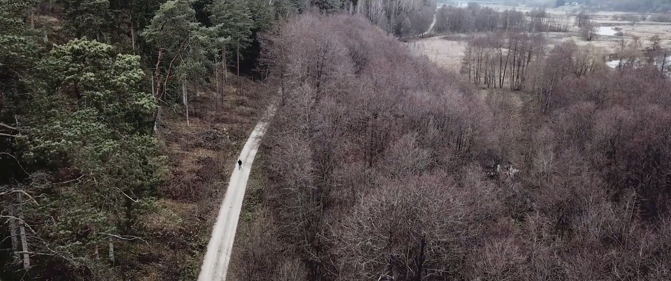 Aerial view of a lone figure walking a forest road toward the dome, The Dome