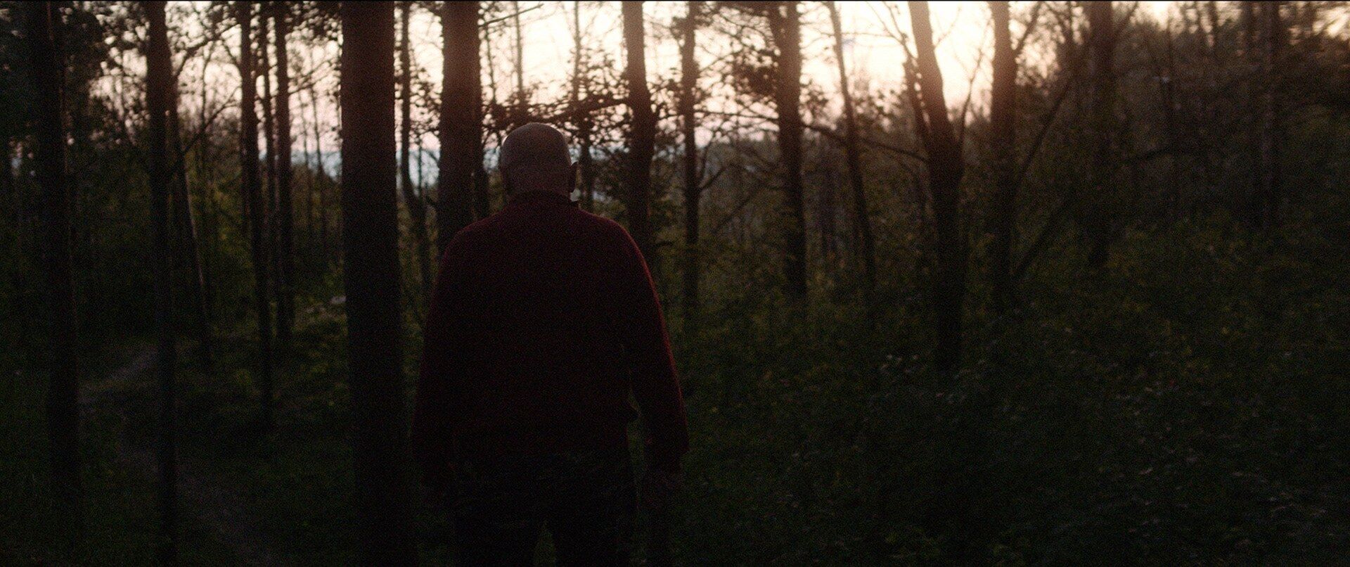 Romualdas Požerskis walking through a forest at dusk, Under the Red Light